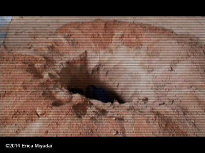 EricaMiyadai About A Hole 2012